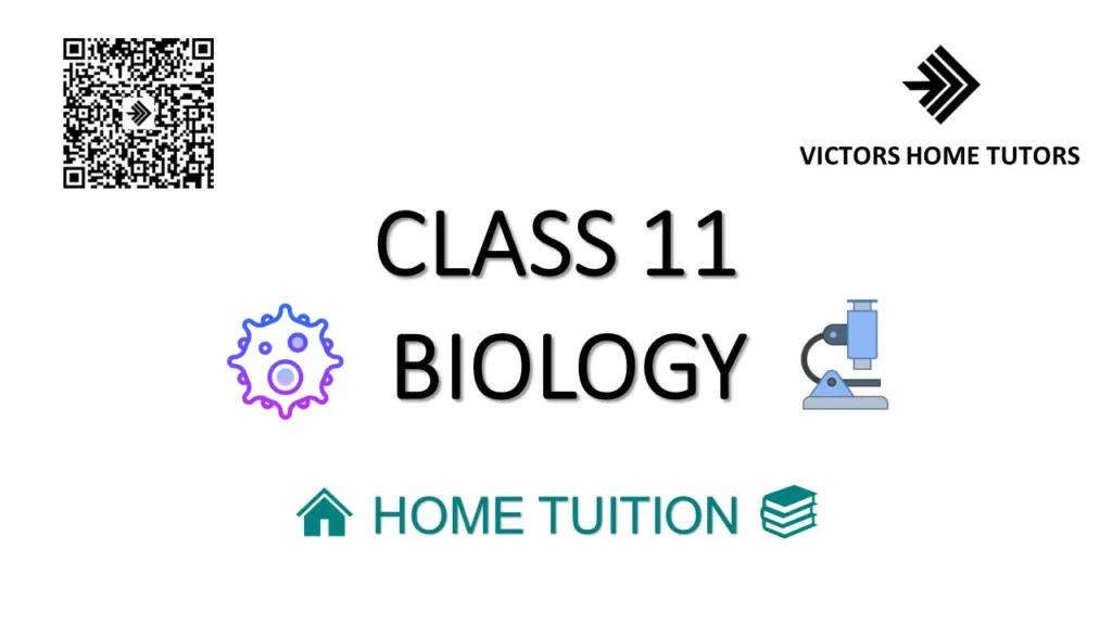 Class 11 Biology Home Tuition