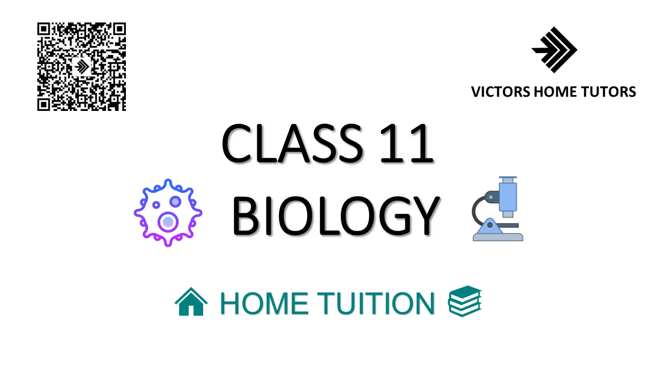 Class 11 Biology Home Tuition