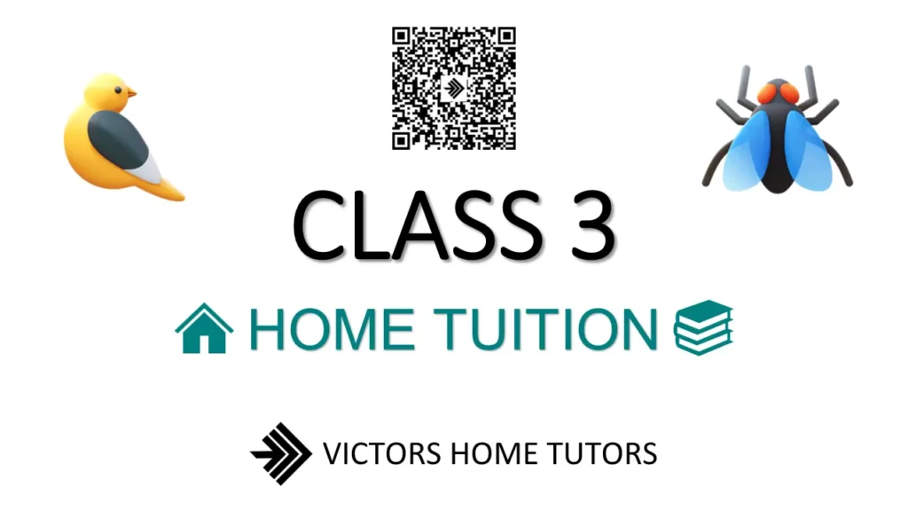 Class 3 Home Tuition