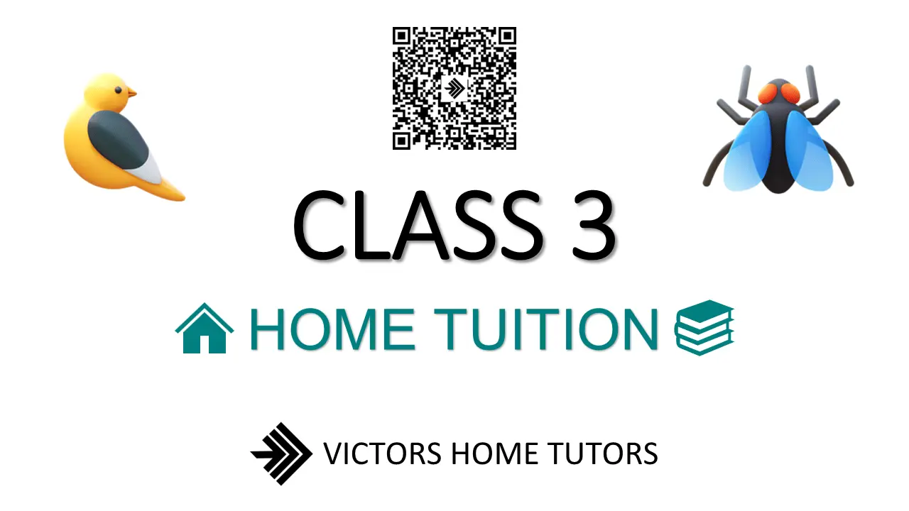 Class 3 Home Tuitions in Varanasi