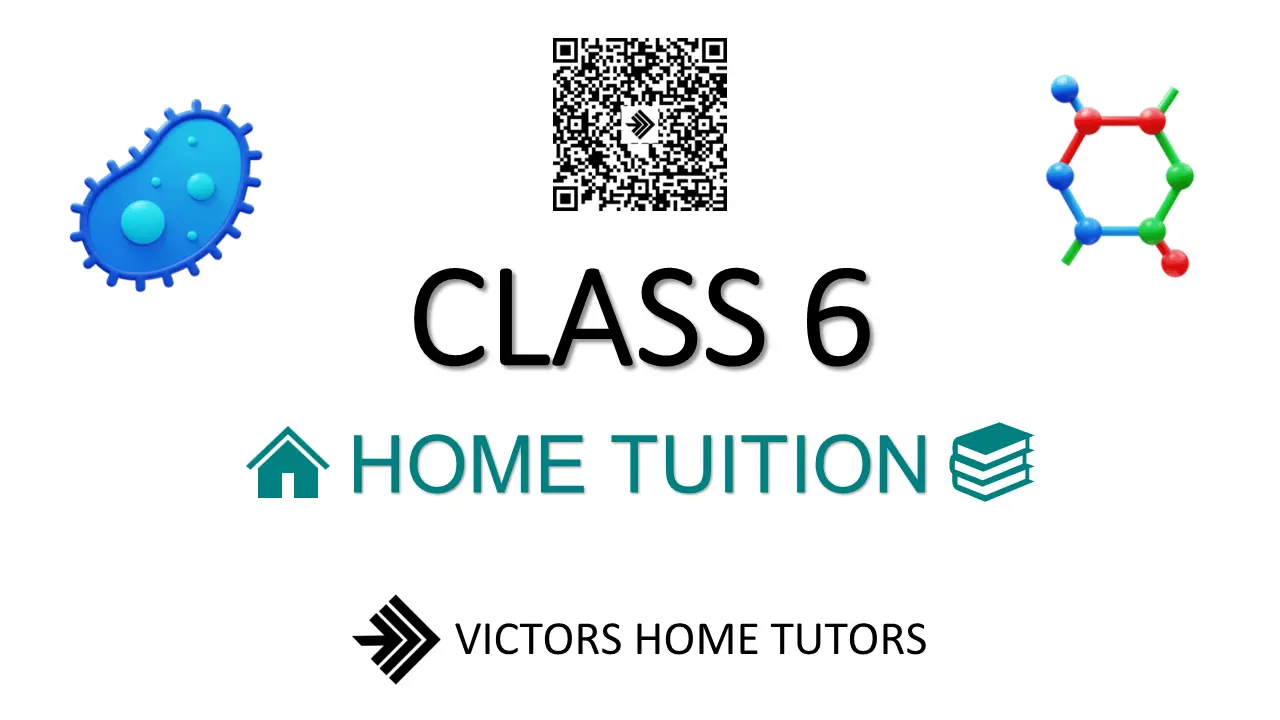 Class 6 Home Tuitions in Varanasi