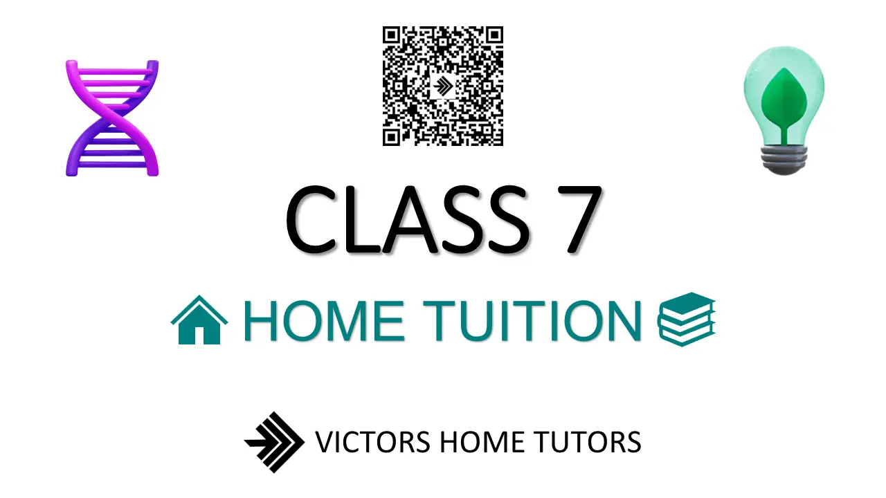 Class 7 Home Tuition